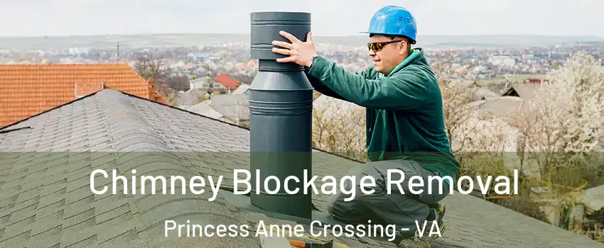 Chimney Blockage Removal Princess Anne Crossing - VA