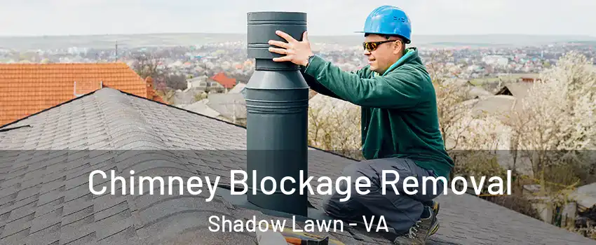 Chimney Blockage Removal Shadow Lawn - VA