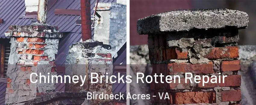 Chimney Bricks Rotten Repair Birdneck Acres - VA