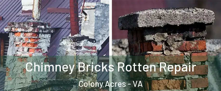 Chimney Bricks Rotten Repair Colony Acres - VA