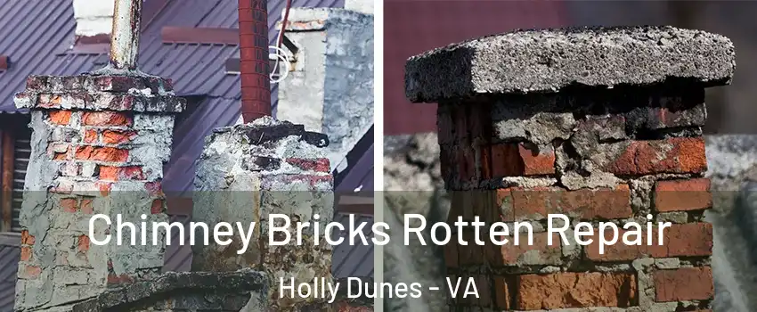 Chimney Bricks Rotten Repair Holly Dunes - VA