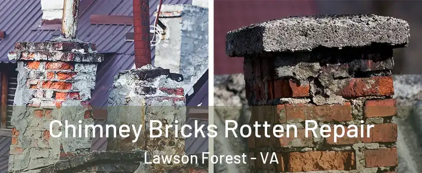 Chimney Bricks Rotten Repair Lawson Forest - VA