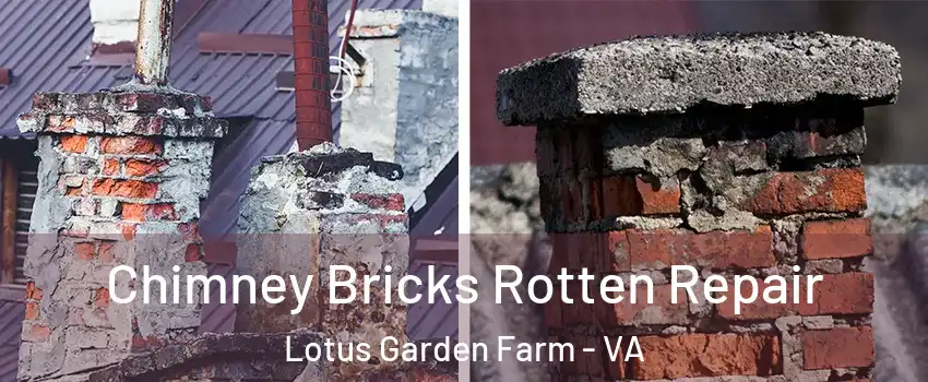Chimney Bricks Rotten Repair Lotus Garden Farm - VA