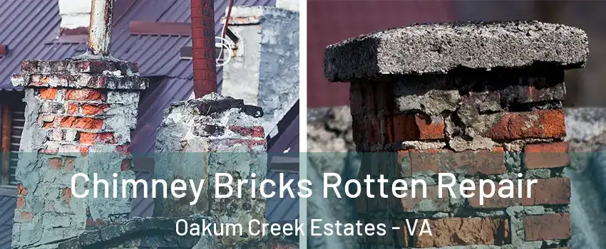 Chimney Bricks Rotten Repair Oakum Creek Estates - VA