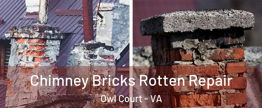 Chimney Bricks Rotten Repair Owl Court - VA
