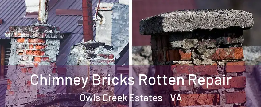 Chimney Bricks Rotten Repair Owls Creek Estates - VA
