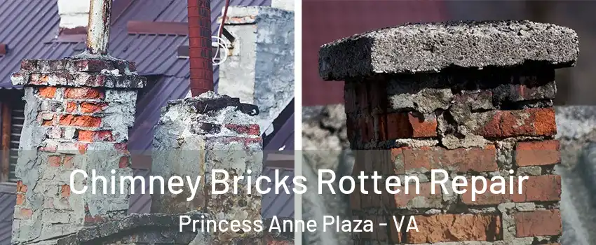 Chimney Bricks Rotten Repair Princess Anne Plaza - VA