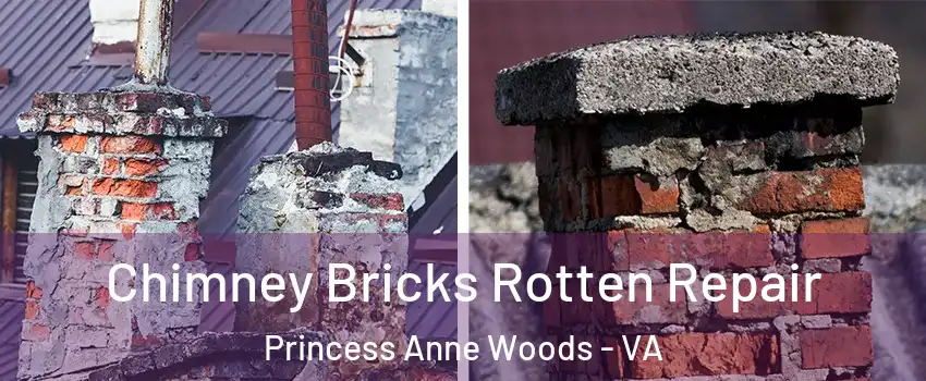 Chimney Bricks Rotten Repair Princess Anne Woods - VA