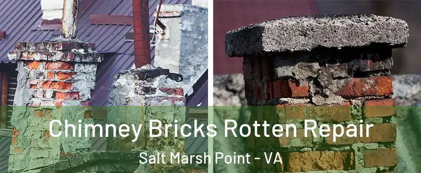Chimney Bricks Rotten Repair Salt Marsh Point - VA