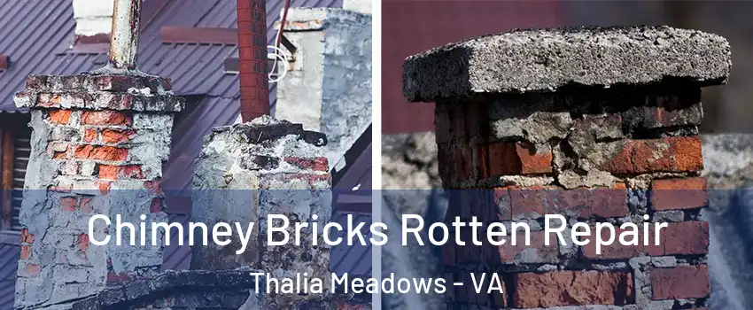 Chimney Bricks Rotten Repair Thalia Meadows - VA