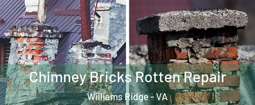 Chimney Bricks Rotten Repair Williams Ridge - VA
