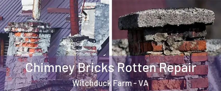 Chimney Bricks Rotten Repair Witchduck Farm - VA