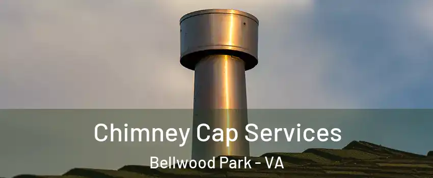 Chimney Cap Services Bellwood Park - VA