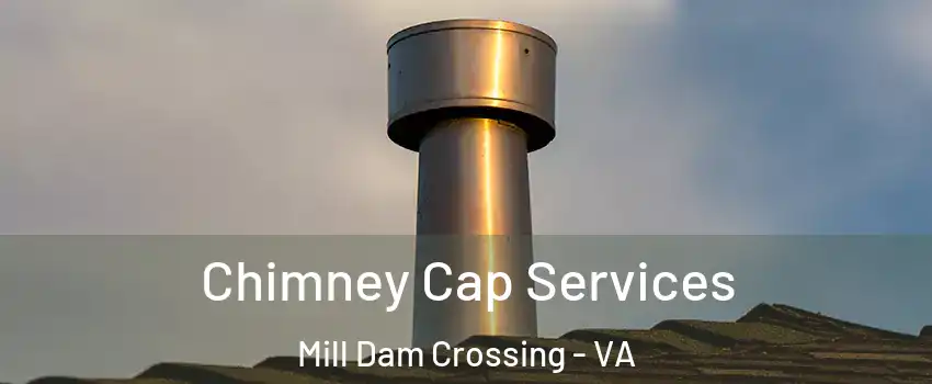 Chimney Cap Services Mill Dam Crossing - VA