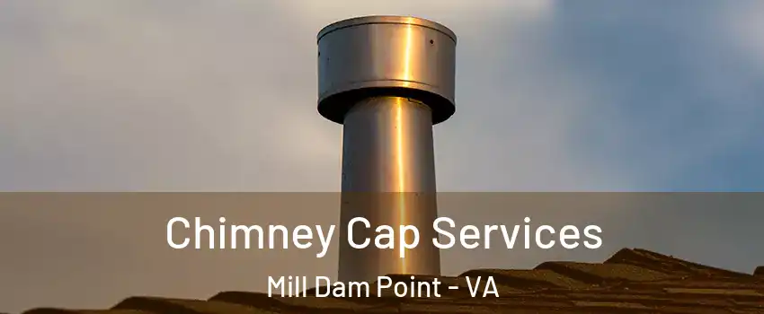 Chimney Cap Services Mill Dam Point - VA