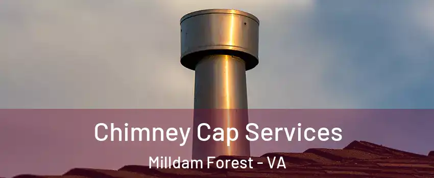 Chimney Cap Services Milldam Forest - VA