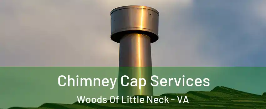 Chimney Cap Services Woods Of Little Neck - VA