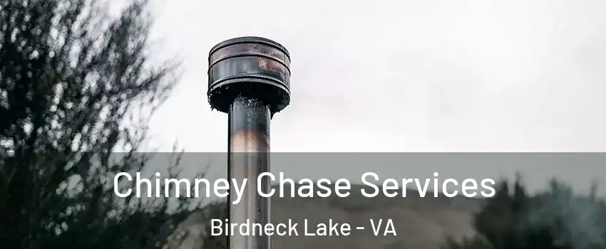 Chimney Chase Services Birdneck Lake - VA