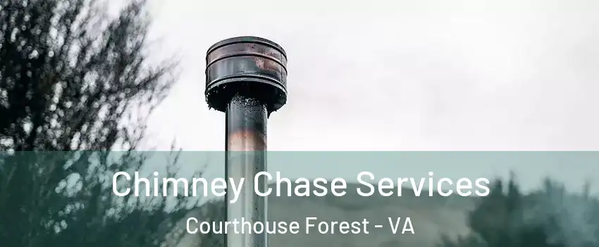 Chimney Chase Services Courthouse Forest - VA