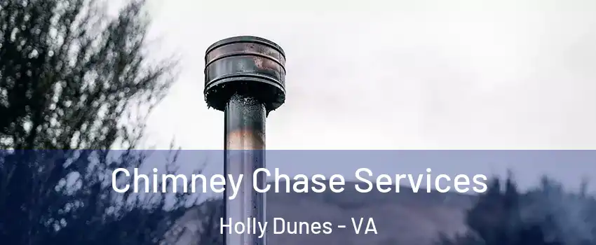 Chimney Chase Services Holly Dunes - VA