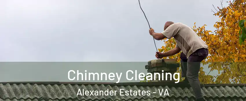 Chimney Cleaning Alexander Estates - VA