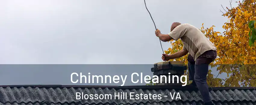 Chimney Cleaning Blossom Hill Estates - VA
