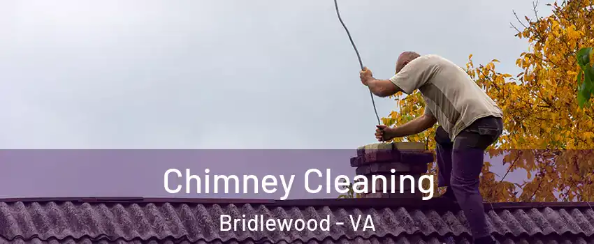 Chimney Cleaning Bridlewood - VA