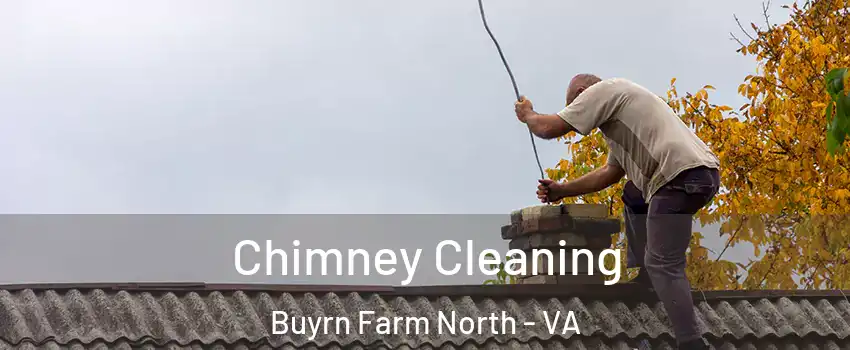 Chimney Cleaning Buyrn Farm North - VA