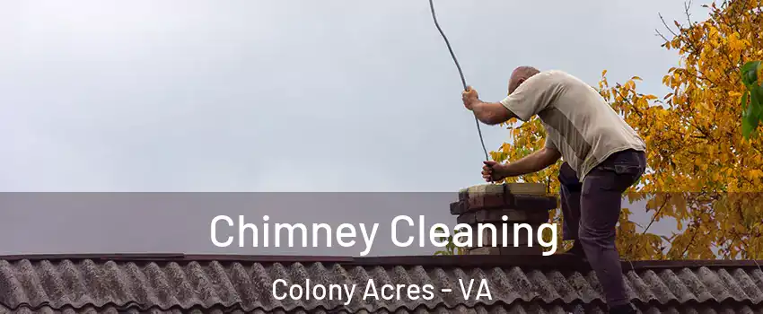 Chimney Cleaning Colony Acres - VA