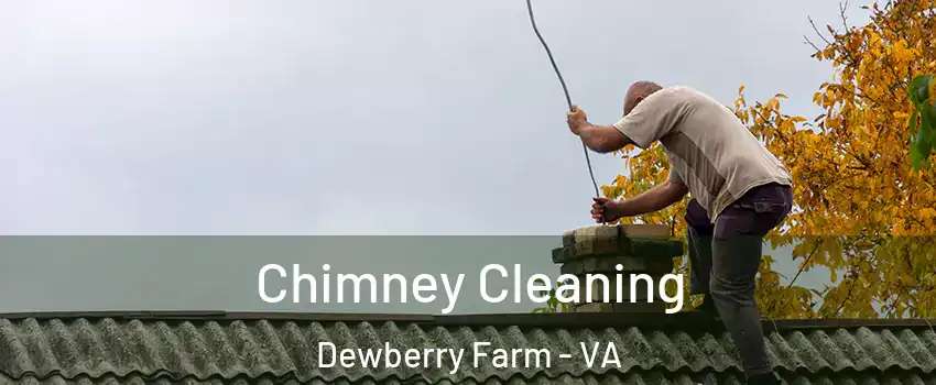 Chimney Cleaning Dewberry Farm - VA