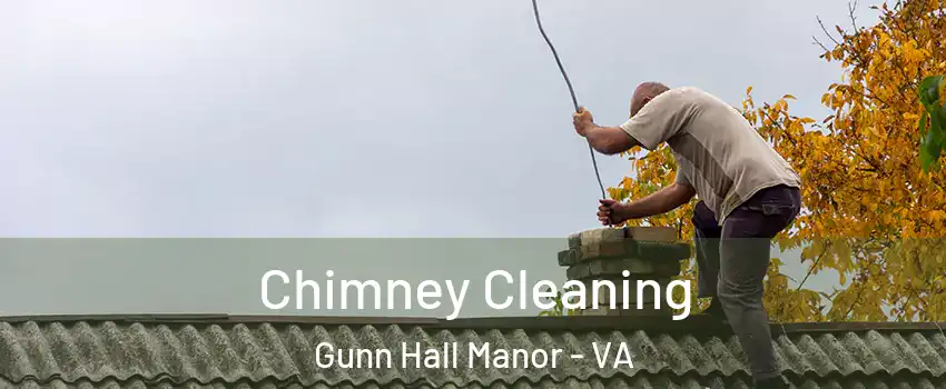 Chimney Cleaning Gunn Hall Manor - VA
