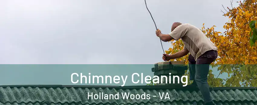 Chimney Cleaning Holland Woods - VA