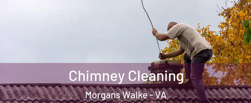 Chimney Cleaning Morgans Walke - VA
