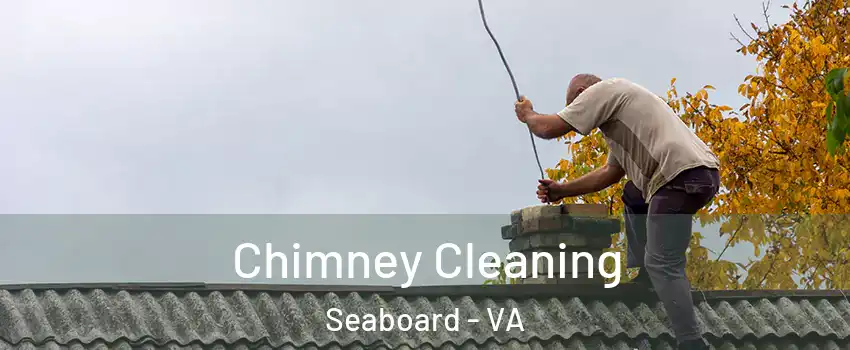 Chimney Cleaning Seaboard - VA