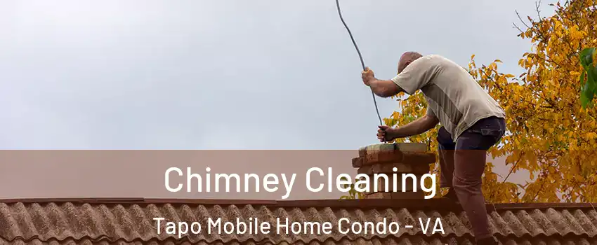 Chimney Cleaning Tapo Mobile Home Condo - VA