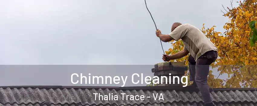 Chimney Cleaning Thalia Trace - VA