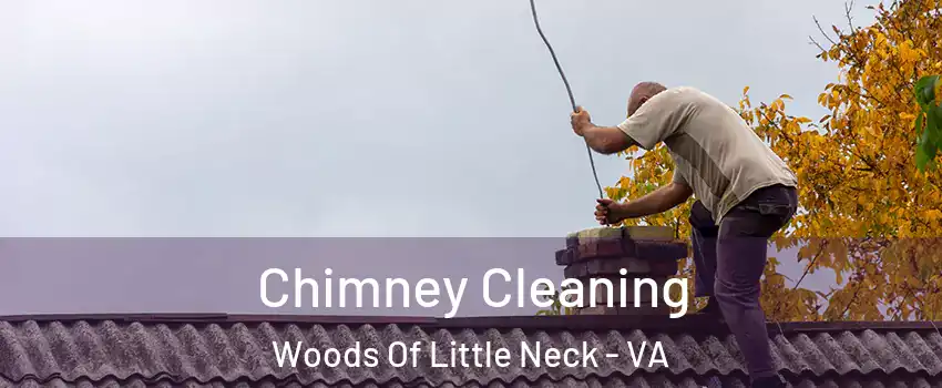 Chimney Cleaning Woods Of Little Neck - VA