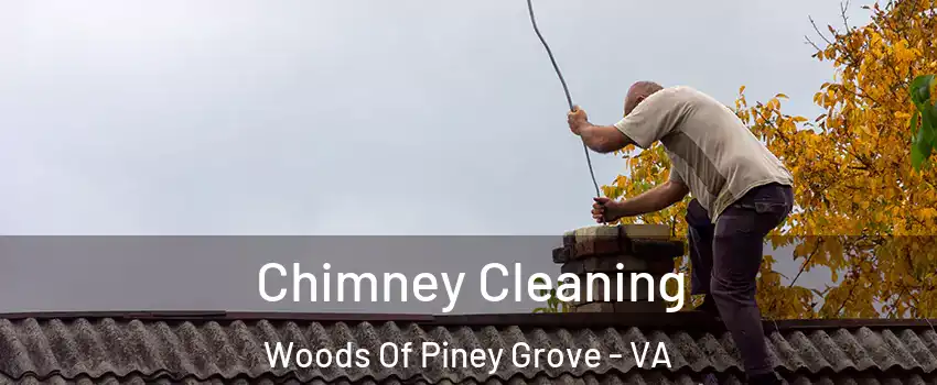 Chimney Cleaning Woods Of Piney Grove - VA