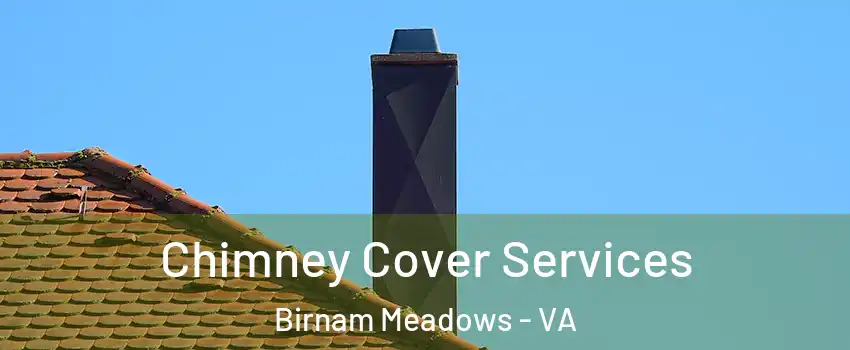 Chimney Cover Services Birnam Meadows - VA