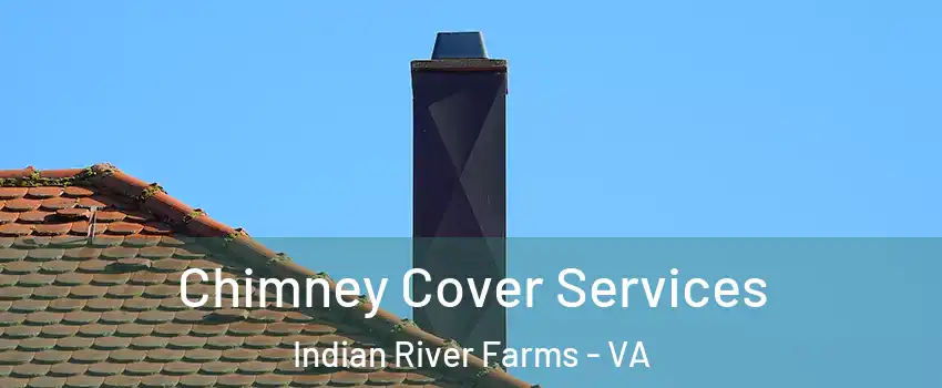 Chimney Cover Services Indian River Farms - VA