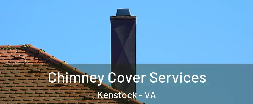 Chimney Cover Services Kenstock - VA
