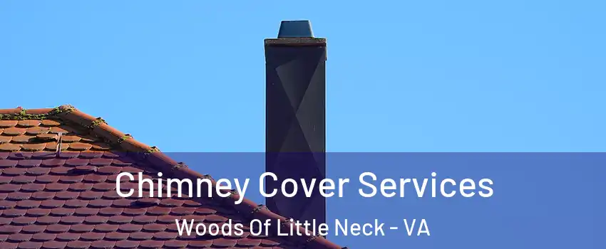 Chimney Cover Services Woods Of Little Neck - VA