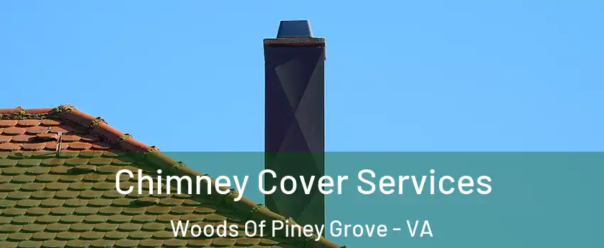 Chimney Cover Services Woods Of Piney Grove - VA