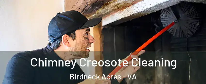 Chimney Creosote Cleaning Birdneck Acres - VA