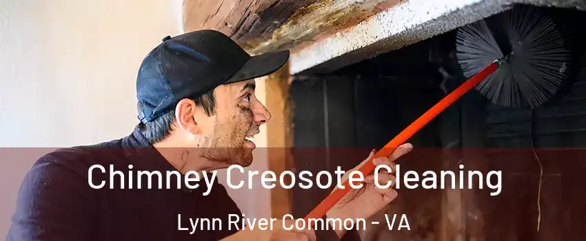 Chimney Creosote Cleaning Lynn River Common - VA