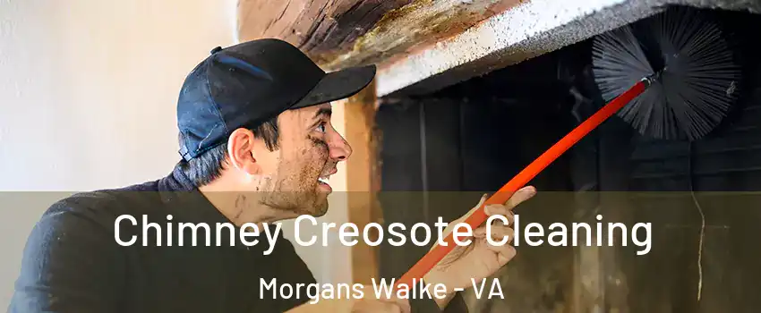 Chimney Creosote Cleaning Morgans Walke - VA
