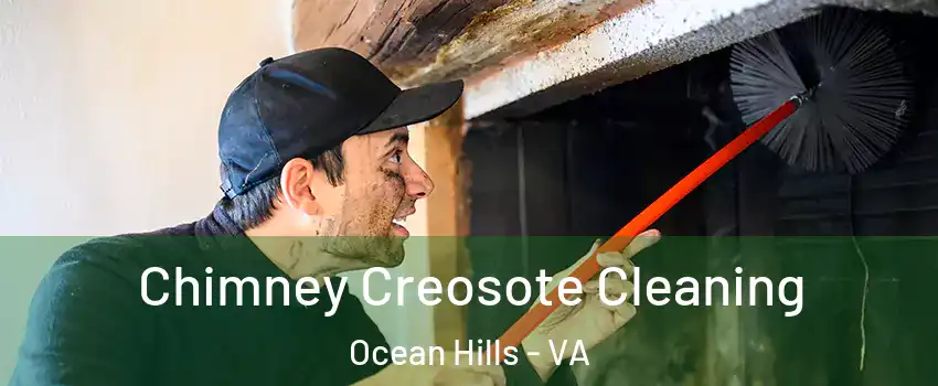 Chimney Creosote Cleaning Ocean Hills - VA