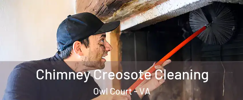 Chimney Creosote Cleaning Owl Court - VA
