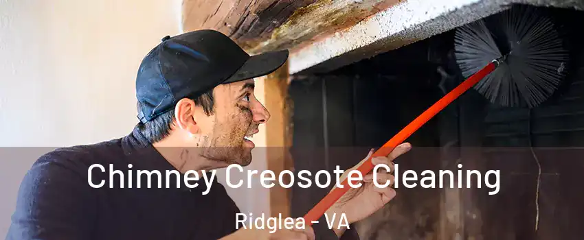 Chimney Creosote Cleaning Ridglea - VA