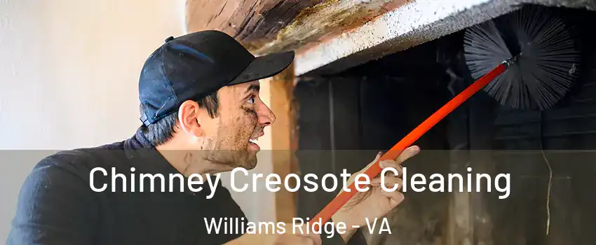 Chimney Creosote Cleaning Williams Ridge - VA